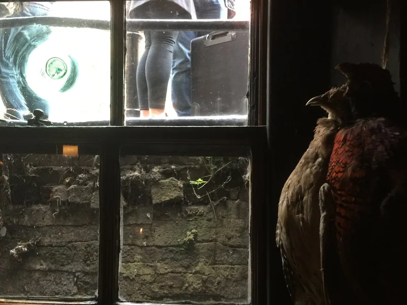 A stuffed pheasant and a green glass behind the old sash window of Dennis Severs' House on Folgate Street