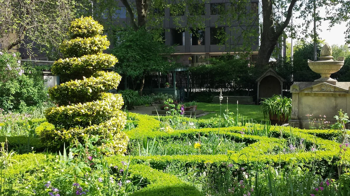 The clipped box knot garden and spiral topiary in the courtyard garden of the Garden Museum in Lambeth