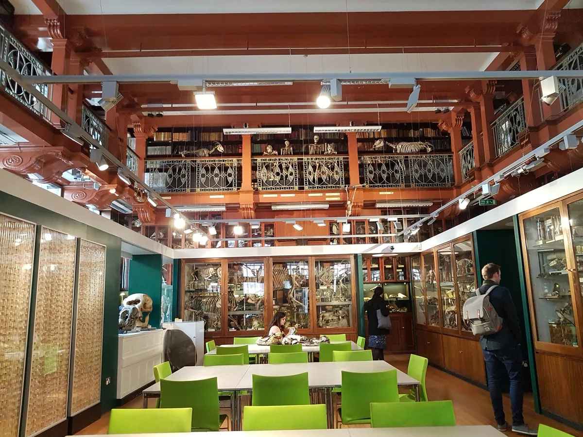 The galleried hall of the Grant Museum of Zoology, lined with tall wooden specimen cases and a mezzanine