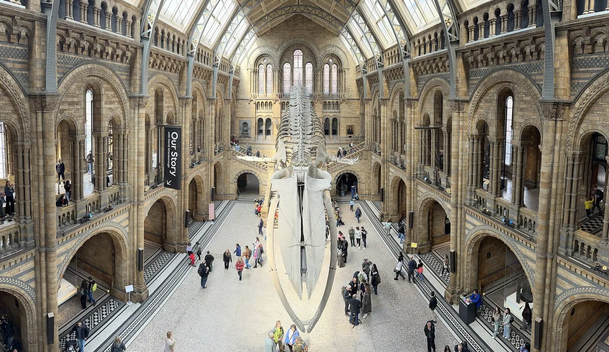 Hintze Hall at the Natural History Museum seen from the balcony, with the blue whale skeleton hanging above the floor