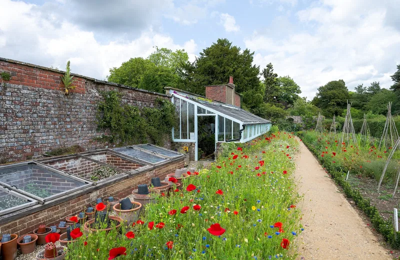 The walled kitchen garden at Down House: a long lean-to greenhouse, old cold frames and stacked pots beside a gravel path edged with poppies