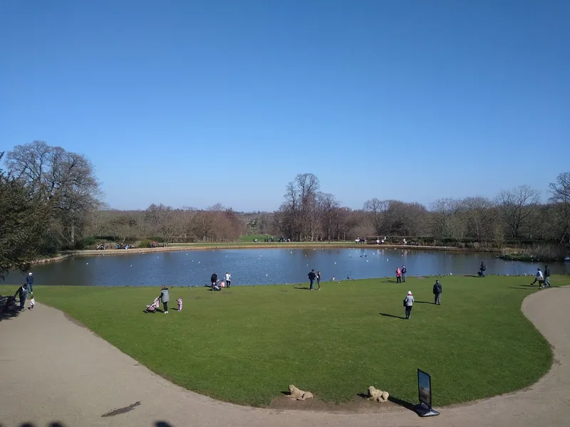 The ornamental lake in Forty Hall's parkland on a clear day, with waterfowl on the water and people scattered across the grass bank