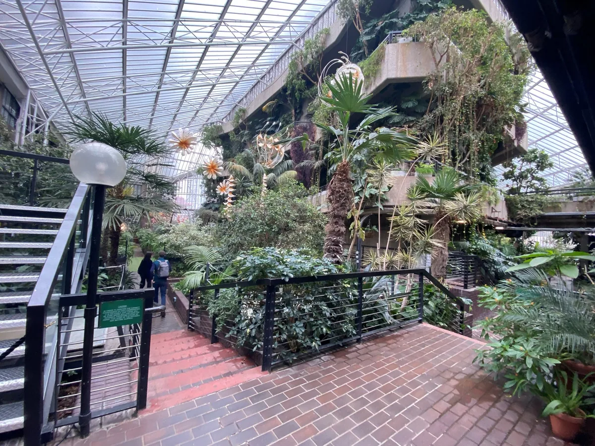 Palms and dense planting under the glass roof of the Barbican Conservatory, with concrete terraces above