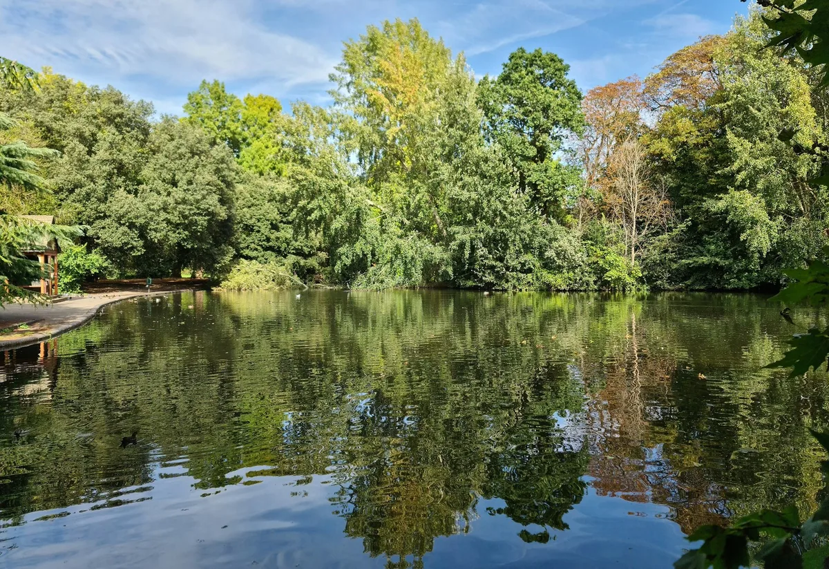 The boating lake in Battersea Park on a clear autumn day, with wooded banks mirrored in the still water