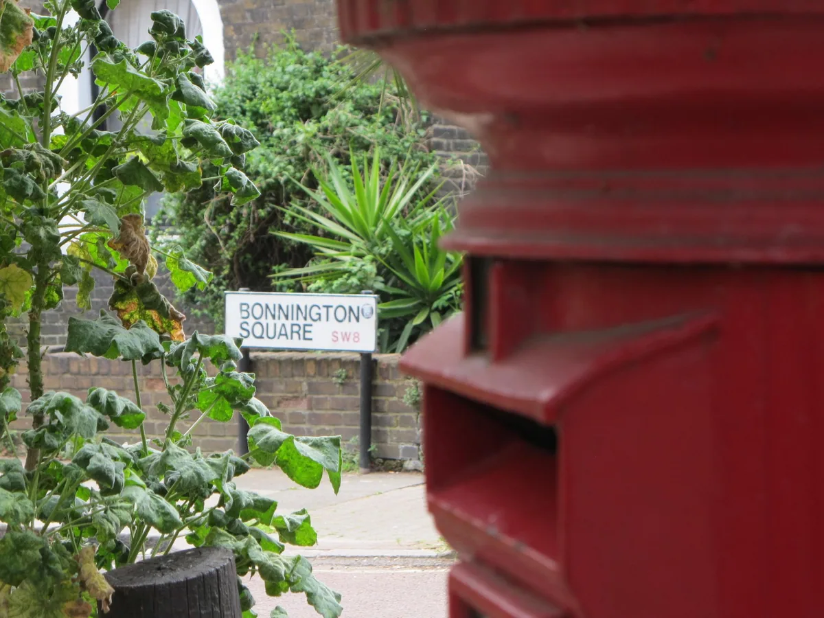A Bonnington Square SW8 street sign half swallowed by climbing greenery, with a red pillar box blurred in the foreground