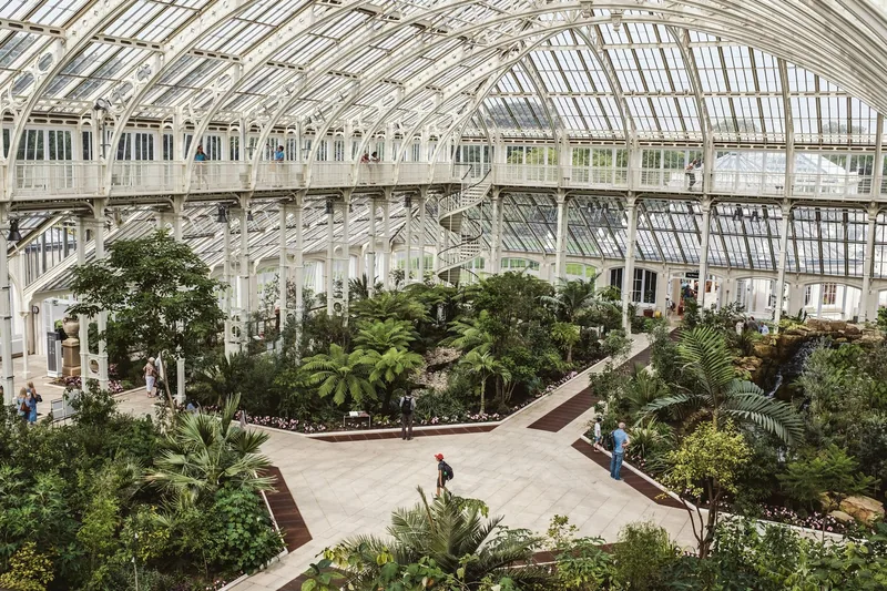 Inside a Victorian glasshouse at Kew Gardens, with palms and paths beneath the white iron and glass roof
