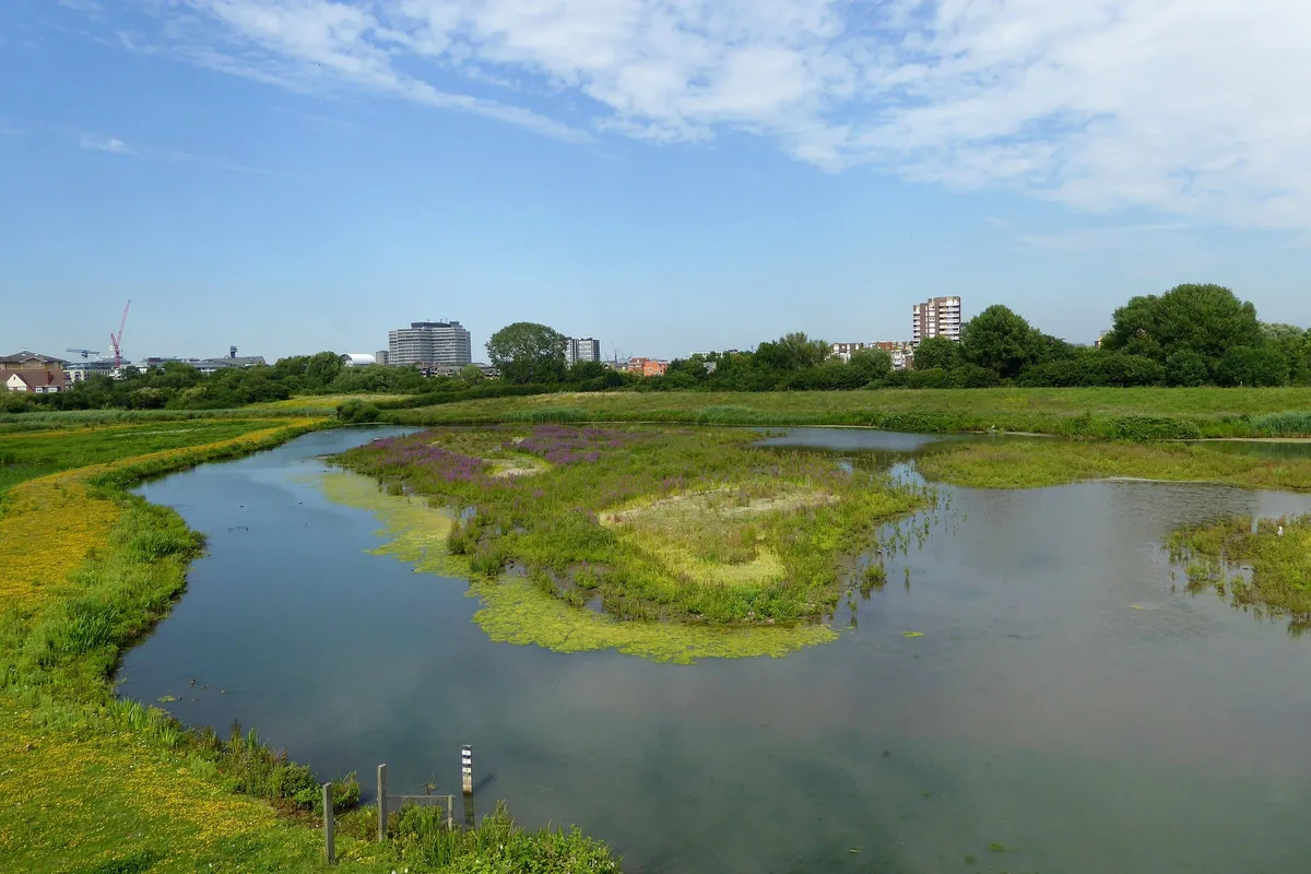 View from the Peacock Tower across the lagoons and reed beds of the London Wetland Centre towards distant tower blocks