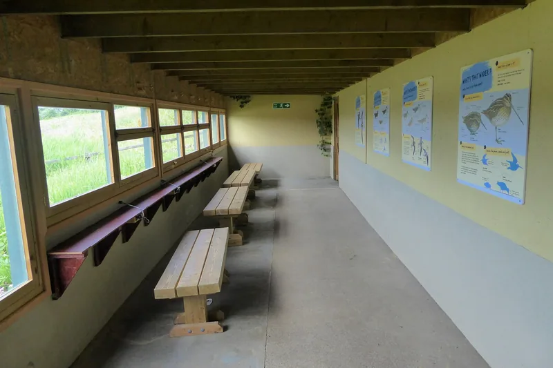 Inside the Wader Scrape Hide at the London Wetland Centre, with benches along a long row of viewing windows