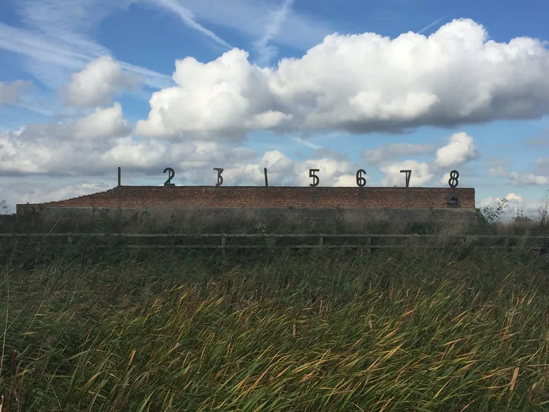 The old brick rifle-range butt at Rainham Marshes, large metal numbers one to eight along its top, seen across tall reeds
