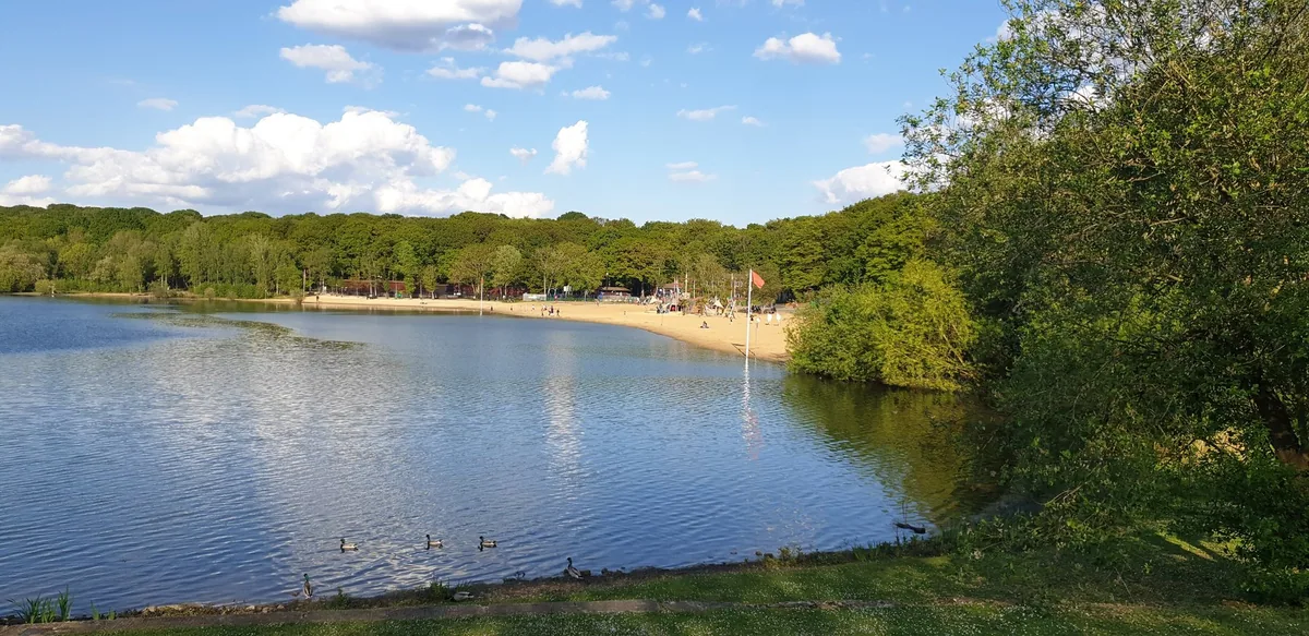 The reservoir at Ruislip Lido on a bright day, with its strip of sand beach and the woods running down to the far shore