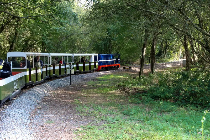 A small blue locomotive of the miniature Ruislip Lido Railway pulling low carriages of passengers round a curve through the woods