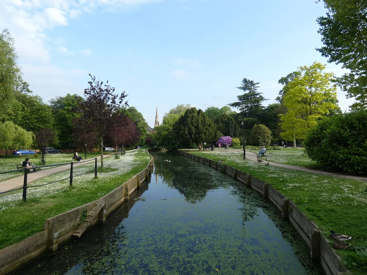 The New River running straight through parkland at Enfield Town, daisy-covered grass on both banks and a church spire beyond the trees