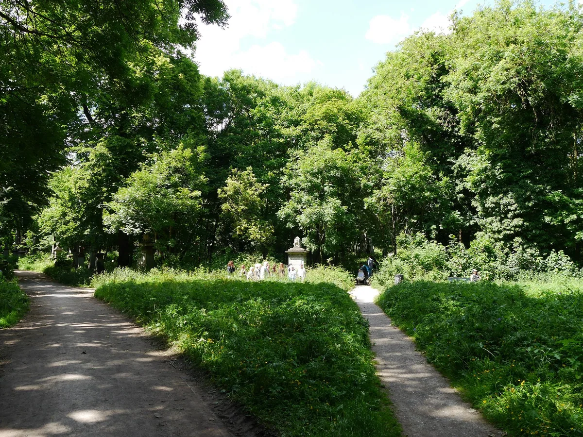 Paths forking through dense summer greenery and trees in Tower Hamlets Cemetery Park