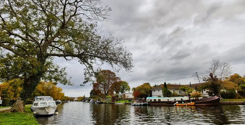 Boats moored along the Thames at Henley under autumn trees and a grey sky