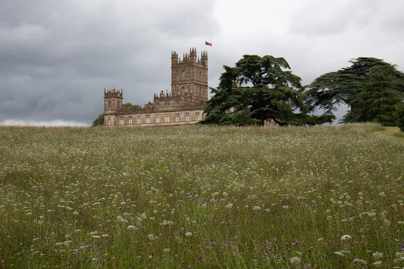 Highclere Castle beyond a meadow of tall grass and wild flowers, framed by two big cedar trees