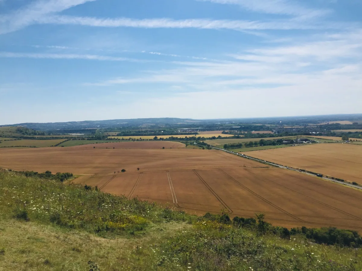The wide view from Ivinghoe Beacon over harvested fields, hedgerows and low chalk hills in the vale below