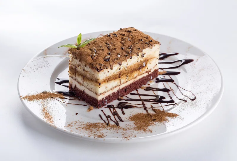 A layered cake slice dusted with cocoa on a white plate, with chocolate sauce drizzled around it