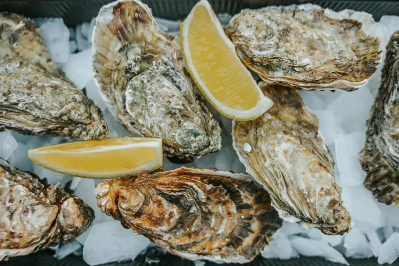 Freshly shucked oysters on crushed ice with lemon wedges