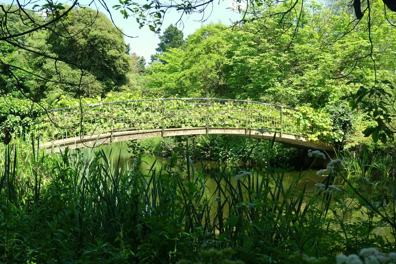 An overgrown ornamental footbridge across the lake in Syon Park