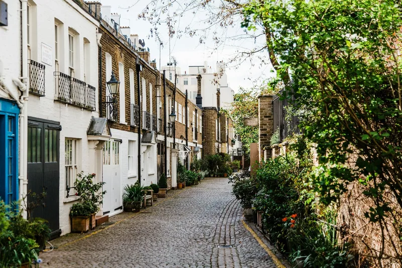 A cobbled mews lane lined with small houses, climbing plants and potted flowers