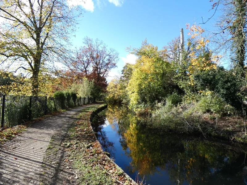 The New River Loop in autumn at Enfield Town: still water reflecting yellow trees, with a railed towpath along the left bank