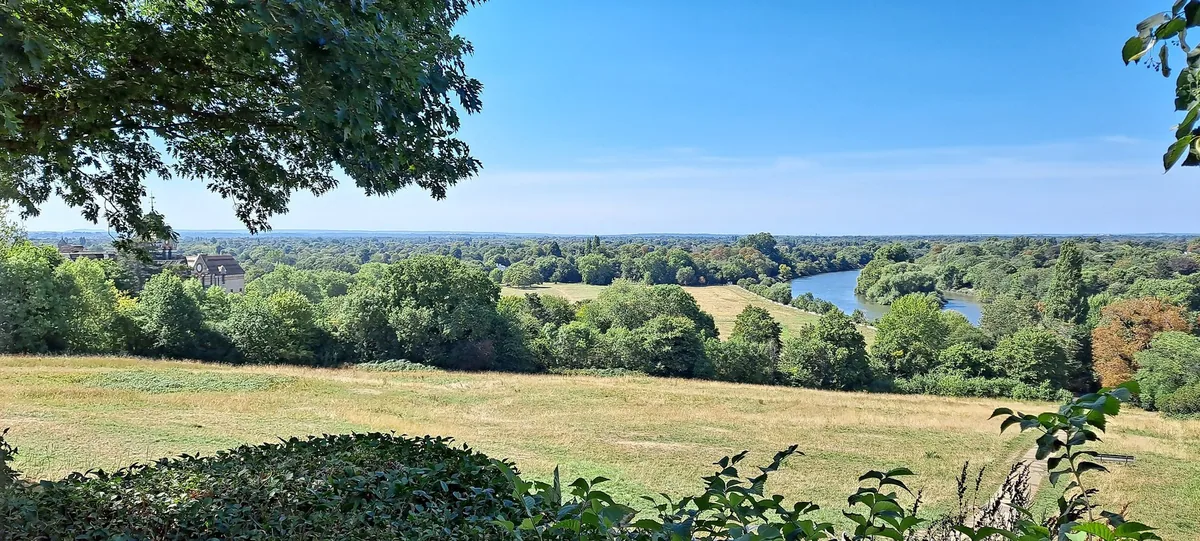 The view from Richmond Hill across meadows and trees to a bend in the River Thames
