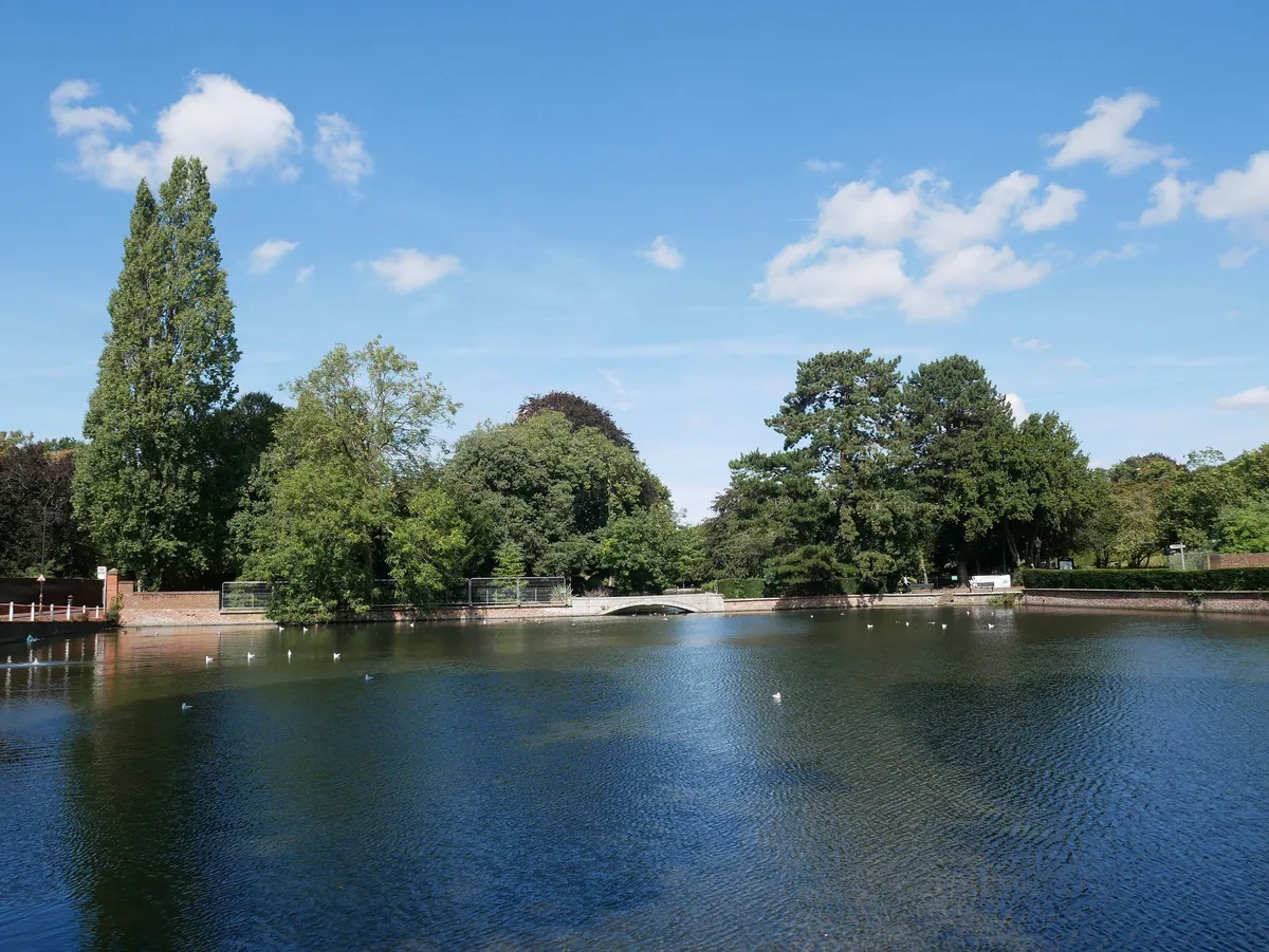 Carshalton's east pond in the middle of the village, edged by a low brick wall and backed by mature trees