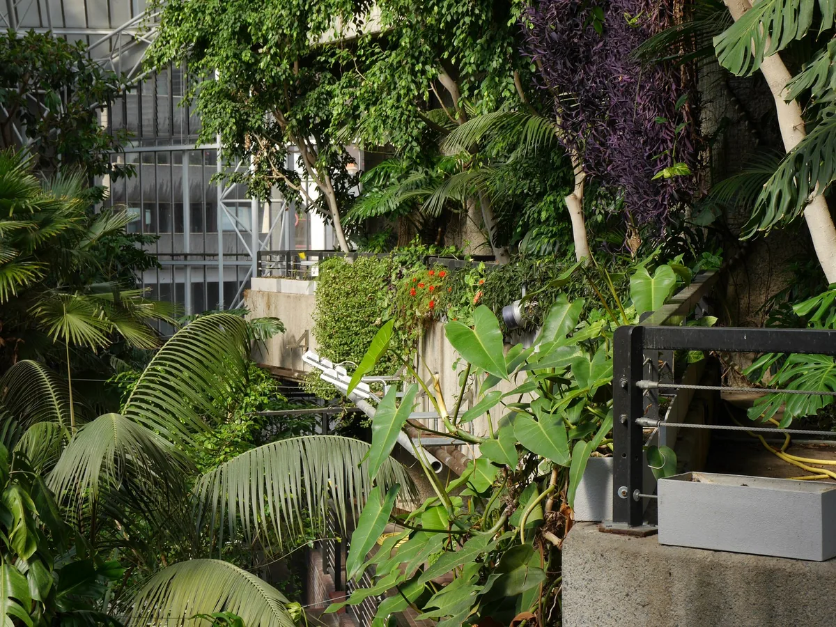 Palms and climbing plants filling the quiet glass-roofed conservatory at the Barbican