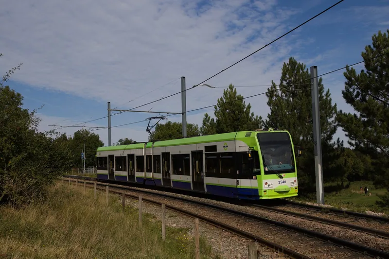 A London Trams tram running on a grassy stretch of the Croydon network under overhead wires