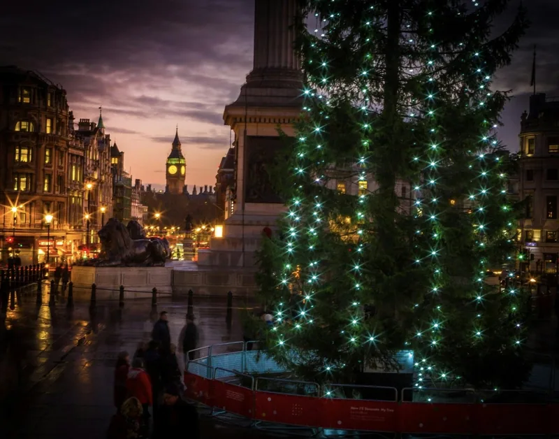 A lit Christmas tree in Trafalgar Square at dusk, with Big Ben's clock tower behind