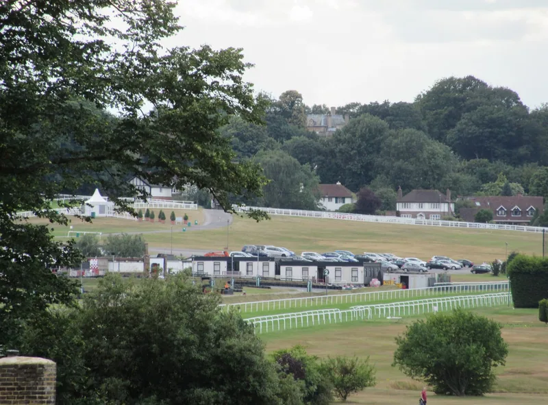 Sandown Park Racecourse at Esher, with white running rails across mown turf and wooded hills behind