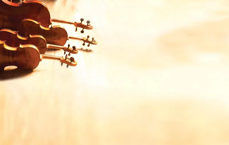 Four string instruments of a quartet laid side by side on a pale wooden floor, scrolls and pegs towards the camera