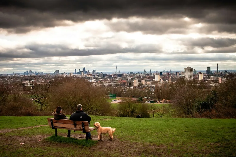Two people on a park bench seen from behind with a shaggy dog standing beside them, the London skyline low on the horizon under heavy cloud