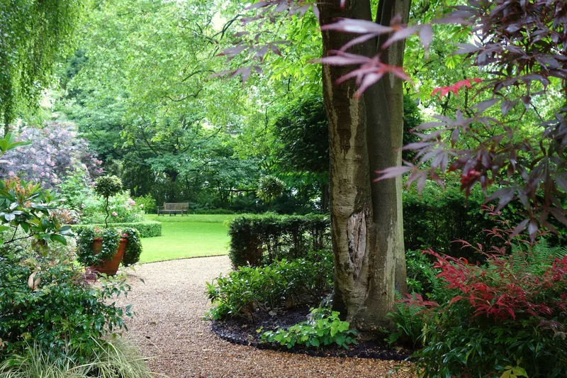 Lawn, shrubs and a bench in the communal garden of Courtfield Gardens in west London